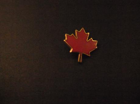 Canada Maple Leaf ( Esdoornblad ) goudkleurige rand